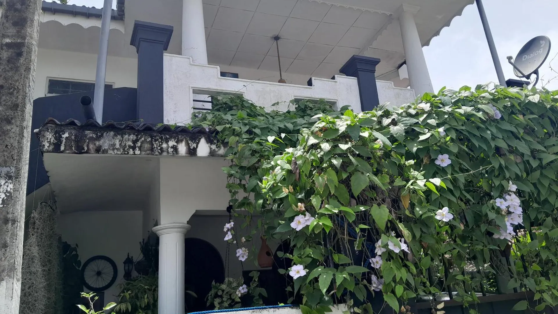 Winston Dutch Canal Villa Guest House Negombo